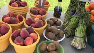 Chợ N&ocirc;ng D&acirc;n ở Mỹ- Farmer's Market Tropical Fruits Homestead ST Petersburg Florida USA