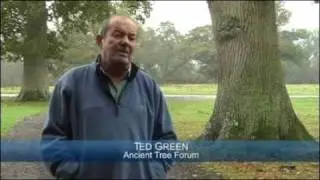Become a tree warden and preserve history