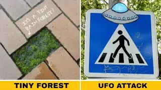 Random Act of Vandalism That Are Genius.