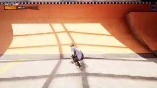 Tony Hawks pro skater
