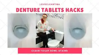 HOW TO CLEAN A TOILET FAST AND EASY