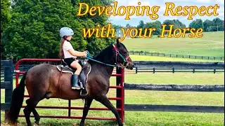 Creating a Strong Bond: Techniques for Earning Your Horse's Respect