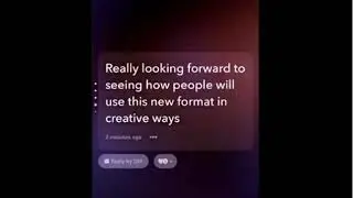 Twitter Fleet example Video