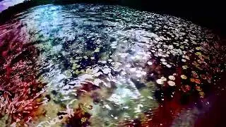 cloud.io - Tuonel (Official Video)