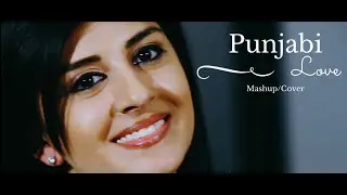 Punjabi Love Mashup | SABRINA | Prod. by StringVibe