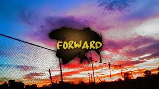 Flower Boy and Moving Forward