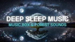 Музыкальная шкатулка + лес ASMR 🌙 | глубокий сон, антистресс, без рекламы