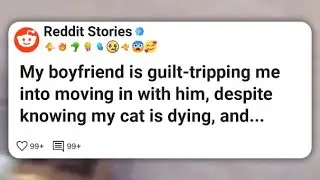 My boyfriend is guilt-tripping me into moving in with him, despite knowing my cat is dying #reddit 