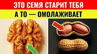 Вам за 60? 4 самых вредных ореха, которые НИКОГДА нельзя есть, и 4, которые НУЖНО есть каждый день!