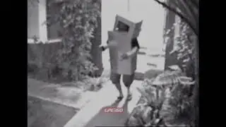 Wheelchair Ghost Steals Halloween Candy B9