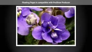 ProShow StylePack Volume 2
