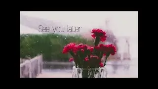 Shallow Bodies - See You Later