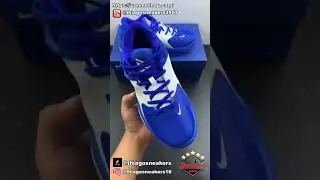 Zoom Freak 4 EP Loyal Blue White DJ6149-400