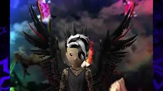 Club Cooee Ali Evolved!