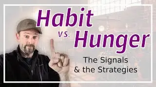 Habit Vs Hunger