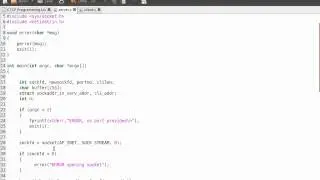 TCP/IP Programming in C