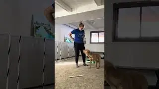 Forrest tug/speak sesh