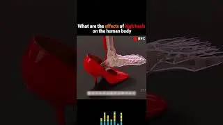 Effects of high heels on human foot #heels