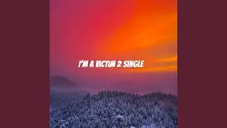 I&rsquo;m A Victim 2