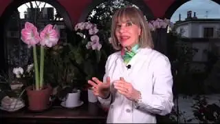 Menopausa precoce: i segnali d’allarme