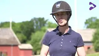 Tr&aelig;ningsplan middel niveau - grundarbejdet bygger hesten op /Training program - the basics