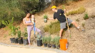 DIY HILLSIDE GARDEN MAKEOVER!
