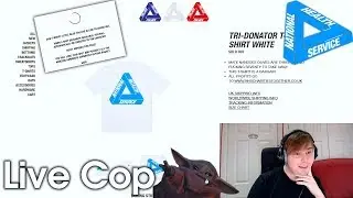 Palace Tri-Donator 