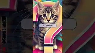 Cat Quiz Odd Eyes & Happy Sounds! Are You a Feline Genius 🐾