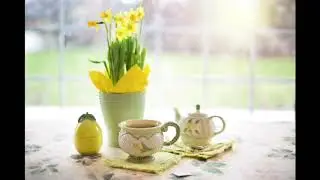 Beautiful Relaxing Music ♫♫ Tea Time Music | Stress Relief