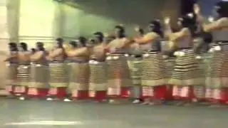 Kotahitanga preforming peruperu and wairangi Tuwharetoa ki Taupo