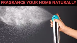 Stop Buying Air Fresheners! Make Your Own!