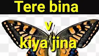 Yesu tere bina || new Hindi Christian devotional song || by jagan mahon nag