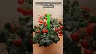 How to grow #tomatoes 🍅 in 3 months at home! #Tomato, #vegetables, #windowsill garden