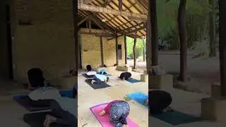 Move. Breathe. Restore.Experience a unique yoga class in peaceful vibes of Apegama, Battaramulla ❤️