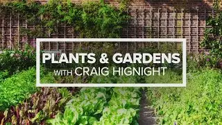 Plants & Gardens with Craig Hignight | April 16, 2025