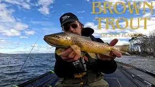 Brown Trout on Soft Plastics, Arthurs Lake Tasmania