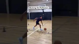 Working On Perfecting Movement!!! #elite #train #movement #work