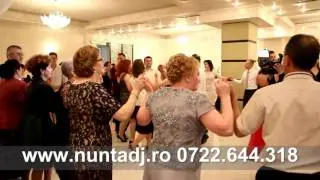 DJ Nunta Constanta - DJ Michael 04.06.2016 Hora