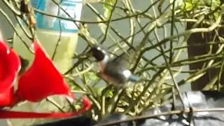 DSCF1340