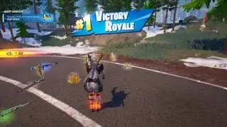 Roadkill road rage