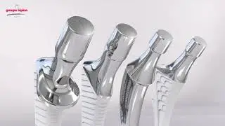FEMORAL STEMS by GROUPE L&Eacute;PINE
