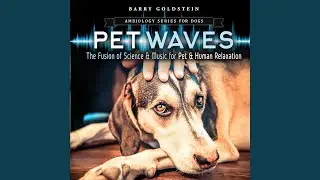 Ambiology Series: Pet Waves for Dogs