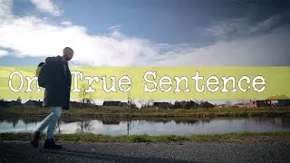 Write One True  Sentence
