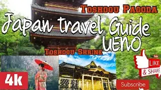 Japan Travel Guide/Toshogu Shrine and Pagoda/ Ueno Park