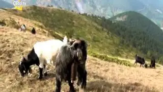MEHMET ABİ'NİN GÜNLÜĞÜ/TORUL-GÜMÜŞHANE