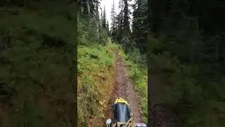Epic Montana singletrack! #dirtbike #singletrack