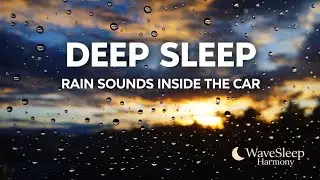 8 Hours Rain Soundscape & Ambient Drone Sounds for Deep Sleep and Relaxation