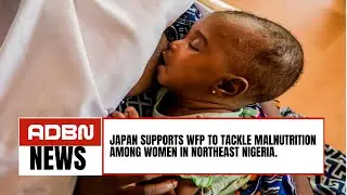 Japan Supports WFP To Tackle Malnutrition Among Women In Northeast Nigeria