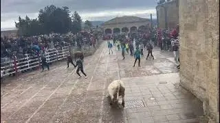Encierro del lunes 16 de febrero en el Carnaval de Toro de Ciudad Rodrigo