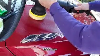WEN 8.3amp Dual Action 5